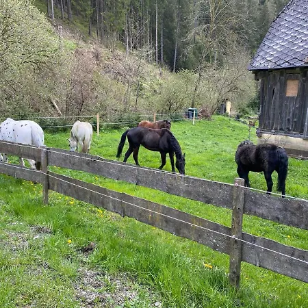 Pferdehof Reitingau